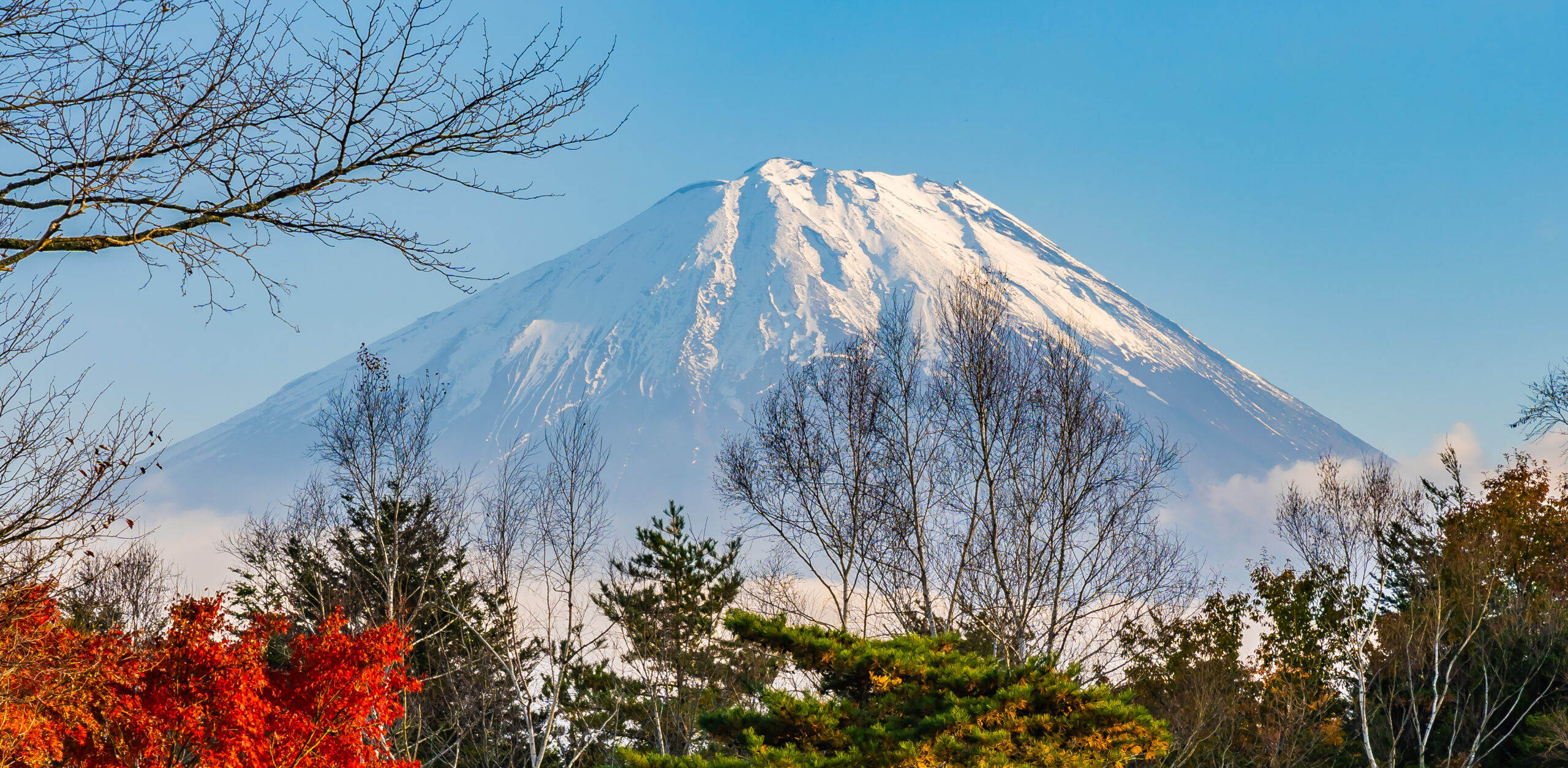 Viaje a Japón 12 o 15 días